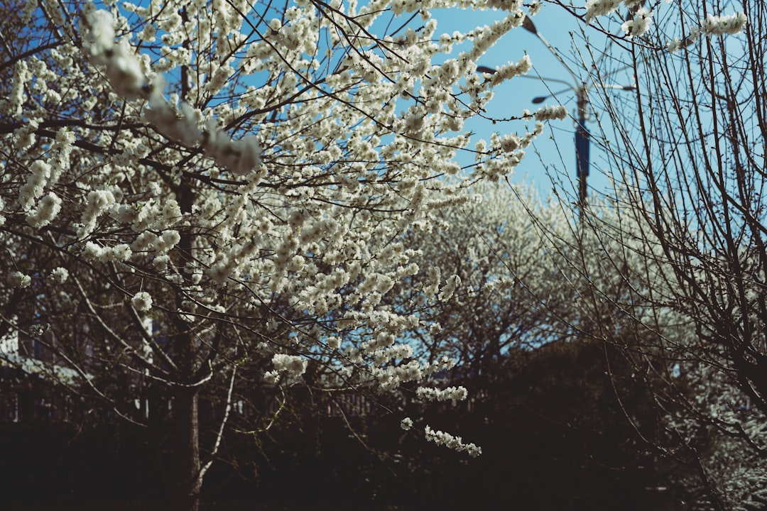 봄의 건강학...체중 줄이고, 체력 높이는 내 몸 리셋 요령