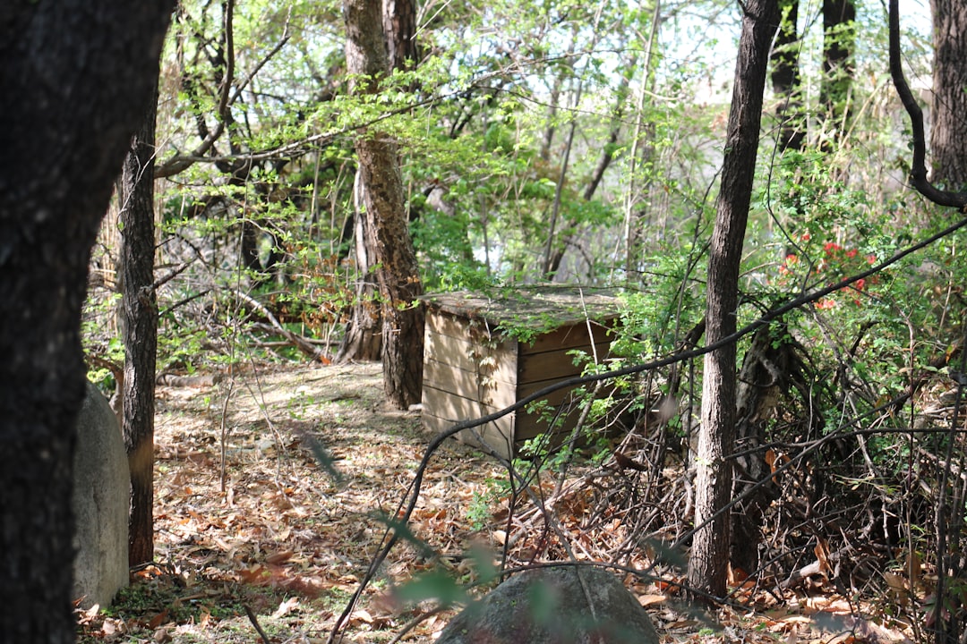 “오래된 치약 버리지 마세요”…‘이 얼룩’ 제거에 의외로 효과적