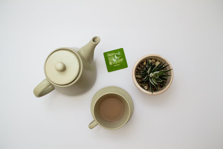 “녹차 티백 버리지 마세요” 기름때, 냄새 제거까지…활용법 5가지는? - 코메디닷컴