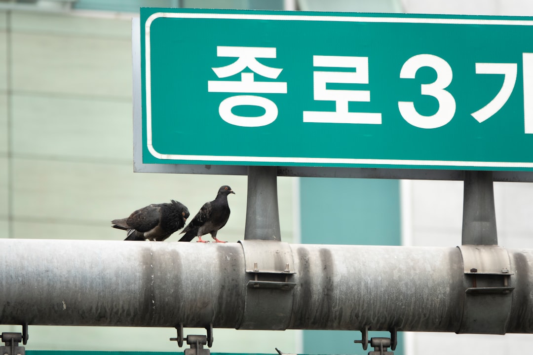 소화기내시경학회, 73회 춘계 세미나 개최 - 의학신문