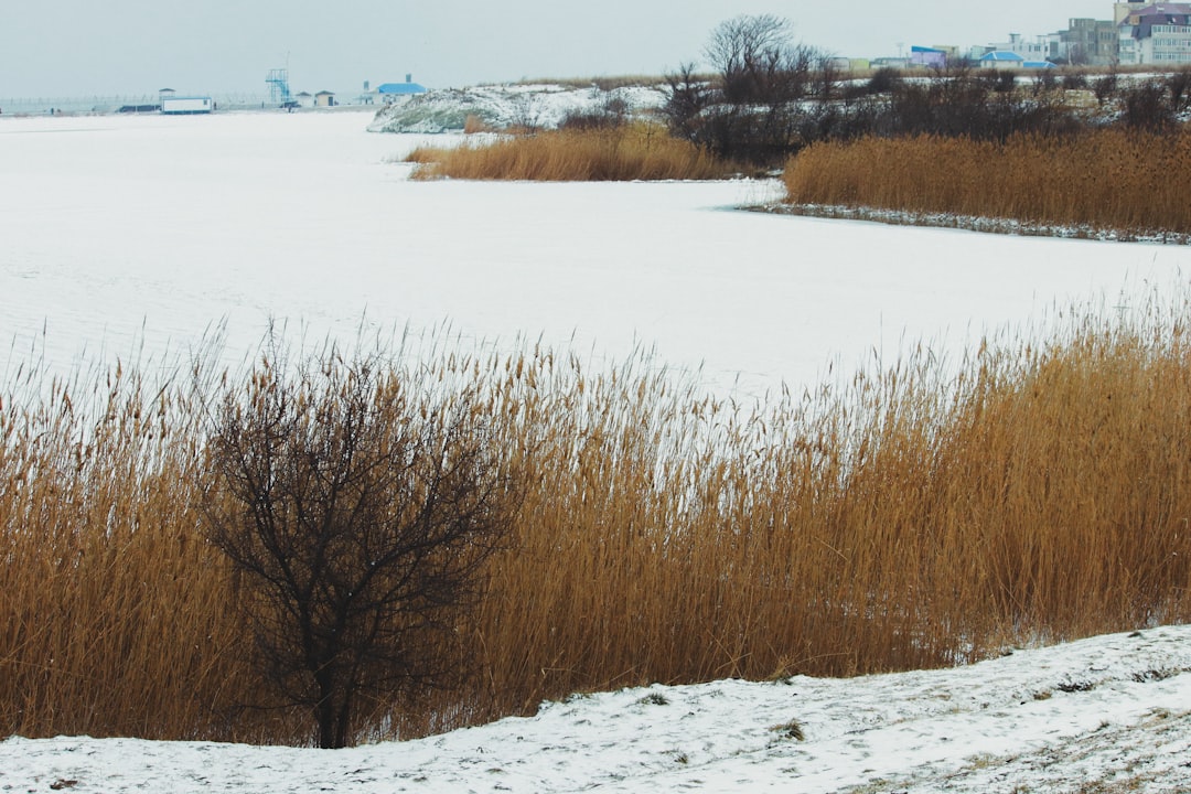 겨울철 건조한 피부를 촉촉하게 만드는 8가지 방법 - 하이닥