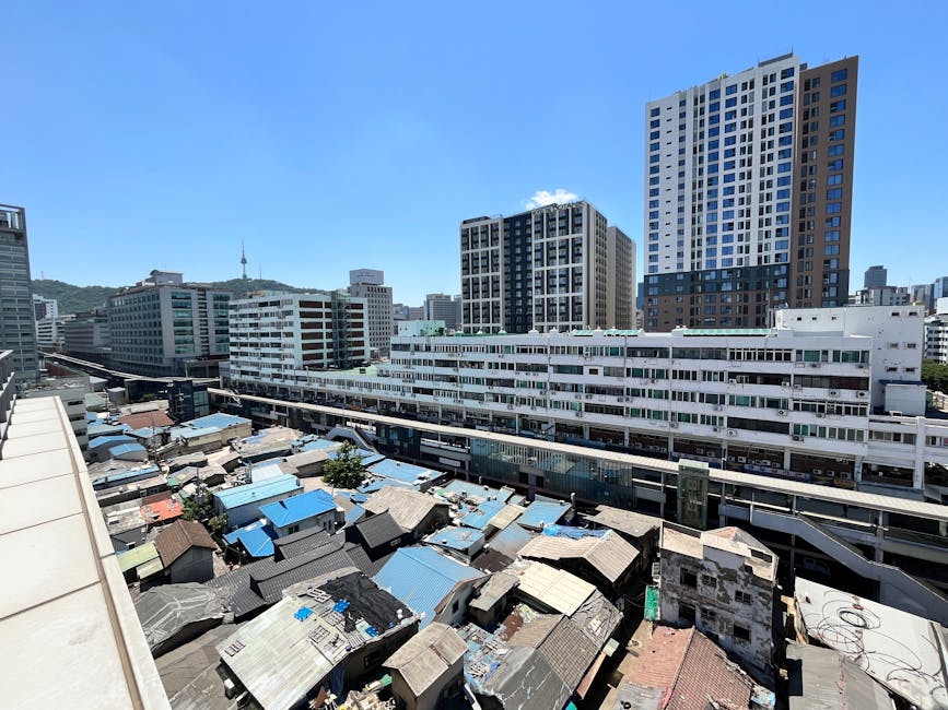 서울 강서구 서울큰나무병원 소식